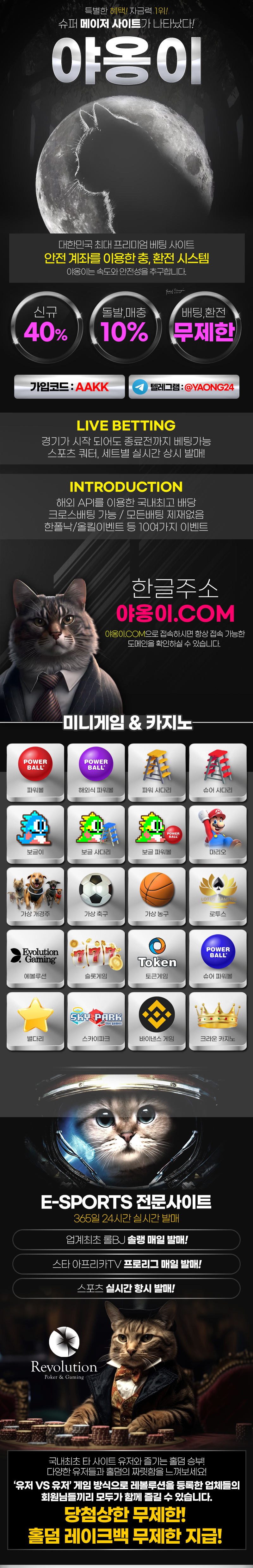 야옹이 레볼루션홀덤 공식 제휴 홀덤사이트 소개